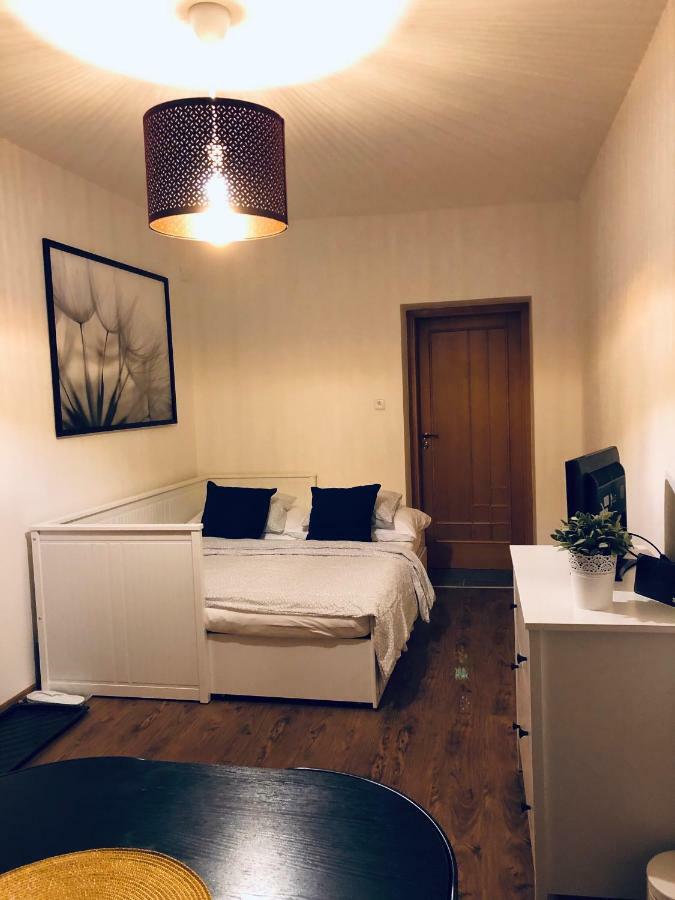 Ubytovani U Svobodu Apartment Kroměříž Екстериор снимка